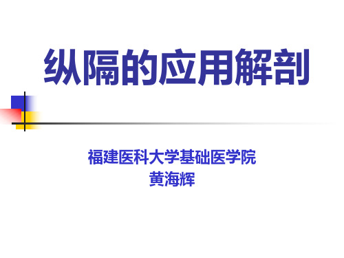医学影像-纵隔的应用解剖