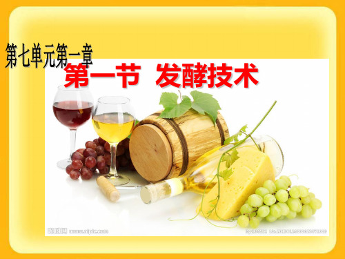 发酵技术PPT优秀课件4 济南版
