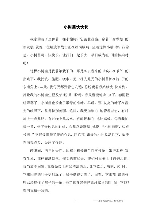 小树苗快快长_小学生