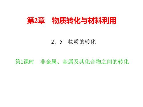 新浙教版九年级科学上册习题课件：2.5 物质的转化 第1课时 非金属、金属及其化合物之间的转化