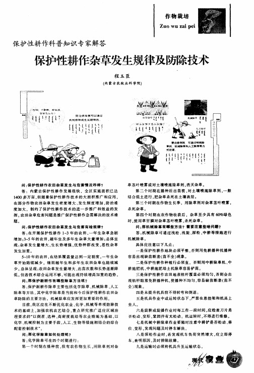 保护性耕作杂草发生规律及防除技术