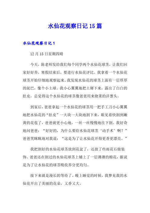 水仙花观察日记15篇