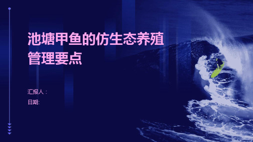池塘甲鱼的仿生态养殖管理要点