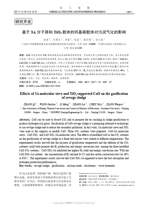 基于3A分子筛和TiO2载体的钙基碳载体对污泥气化的影响