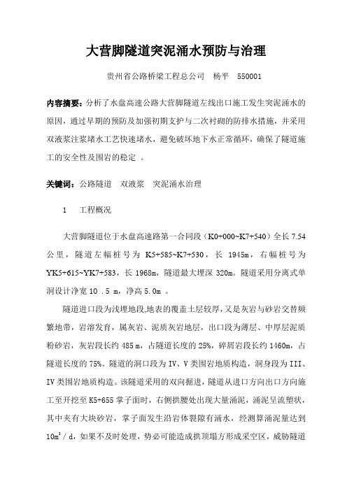 大营脚隧道突泥涌水预防与治理(定稿)
