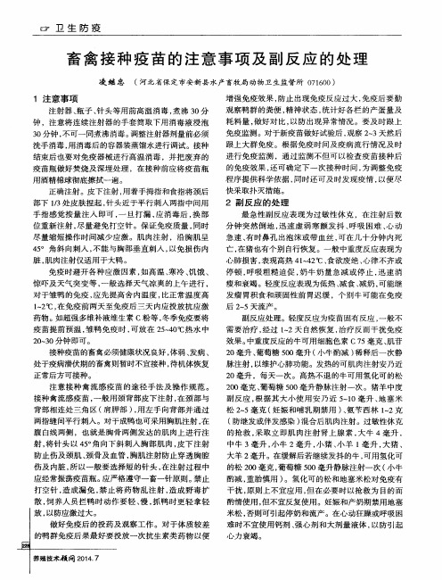 畜禽接种疫苗的注意事项及副反应的处理