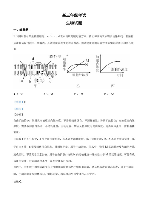 山东省泰安市2019-2020学年高三期末生物试题(解析版)