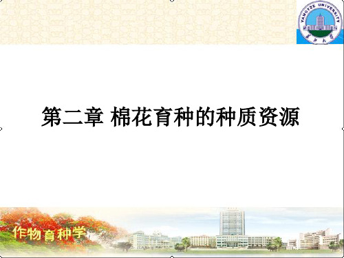 棉花育种的种质资源主要内容