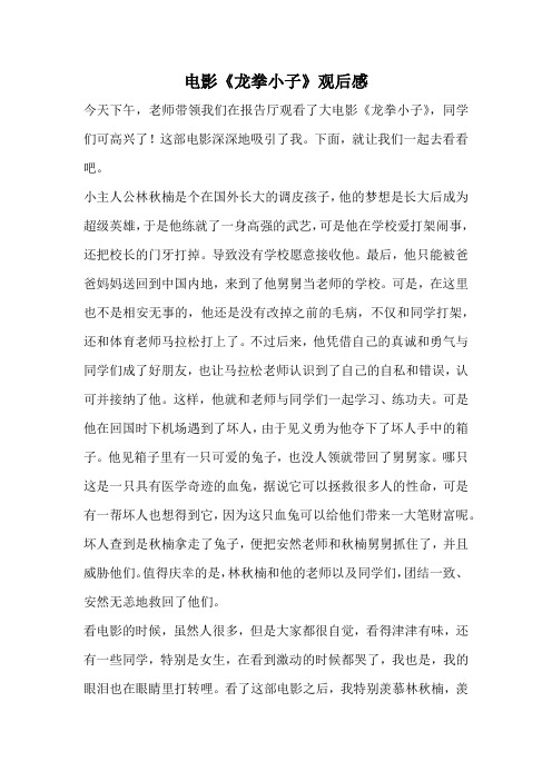 电影《龙拳小子》观后感_3