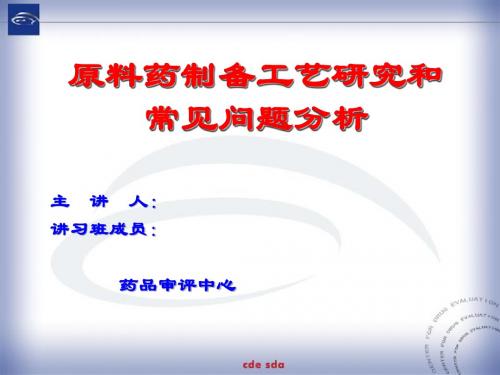 原料药制备工艺研究和常见问题分析PPT课件