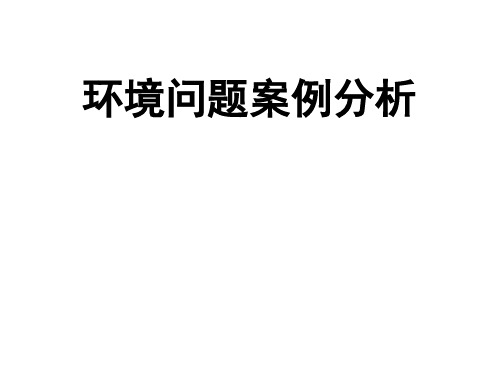 环境问题案例分析