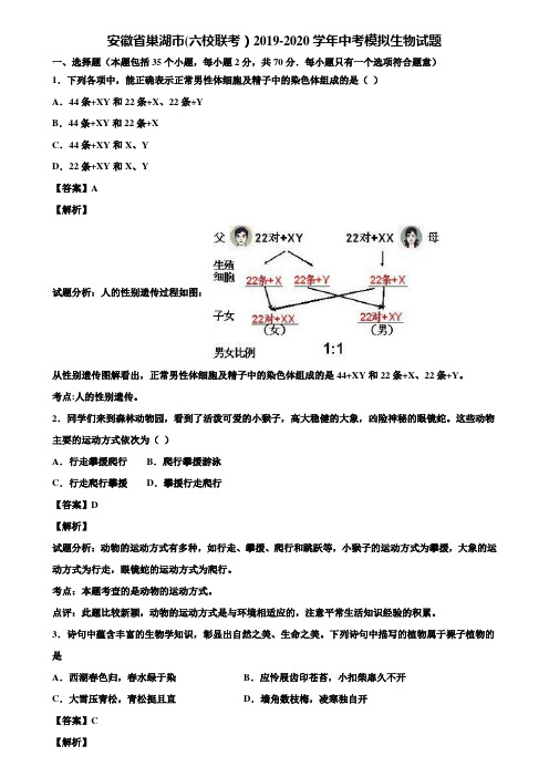 安徽省巢湖市(六校联考)2019-2020学年中考模拟生物试题含解析