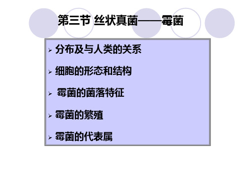 第三节 丝状真菌霉菌【精品-】
