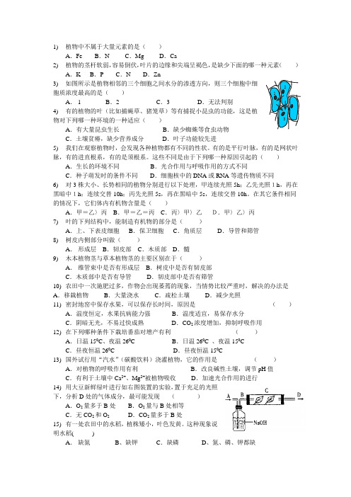 植物的新陈代谢习题