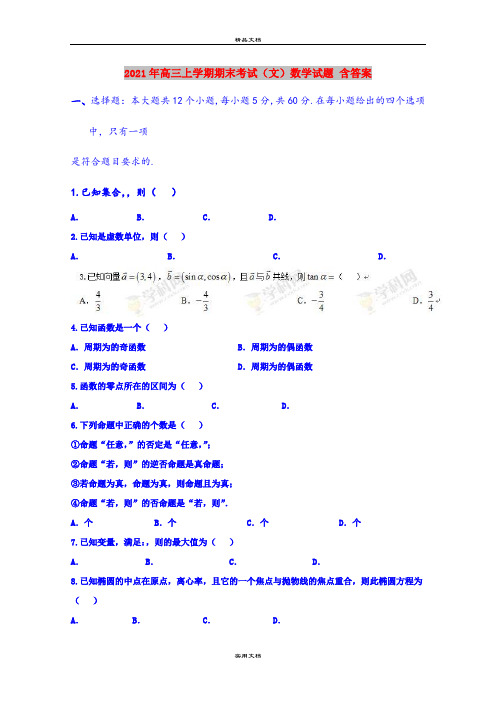 2021年高三上学期期末考试(文)数学试题 含答案
