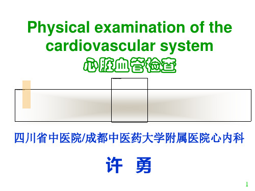 心脏查体