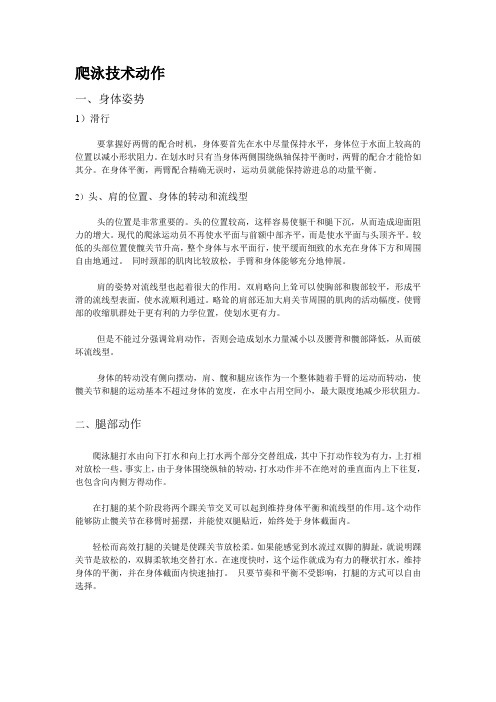爬泳技术动作