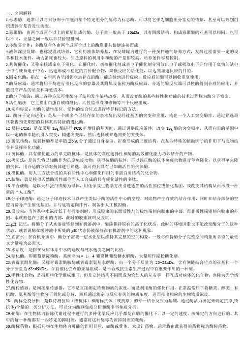 酶工程