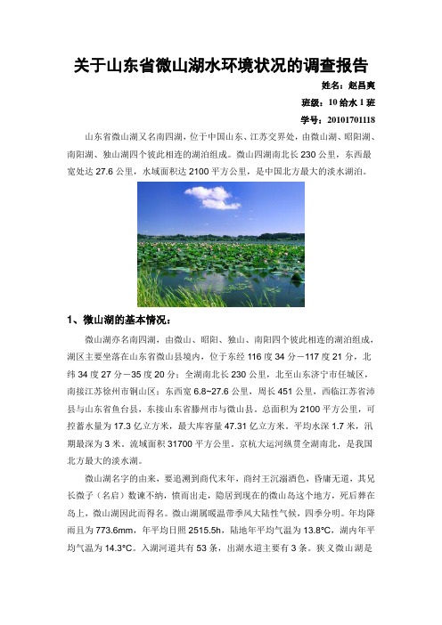 关于山东省微山湖水环境状况的调查报告