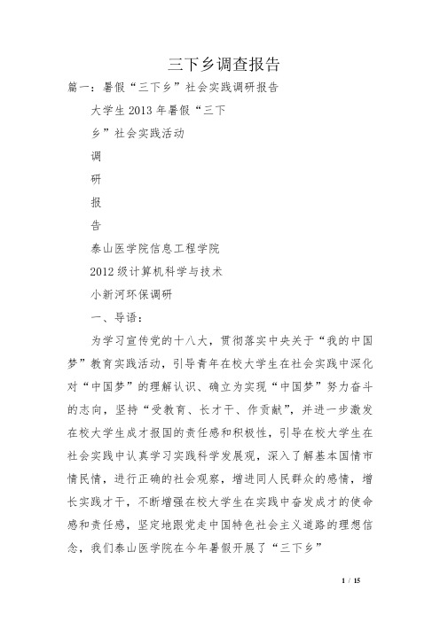 三下乡调查报告