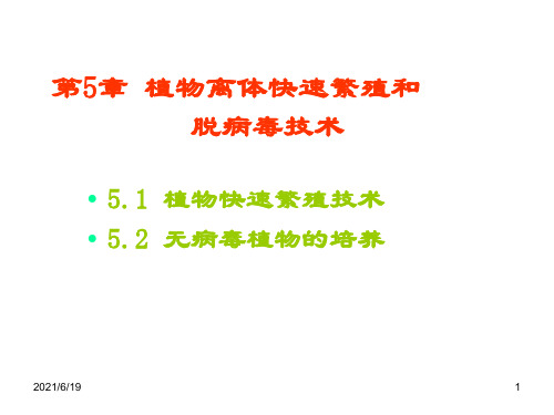 植物离体快速繁殖和脱病毒技术PPT课件