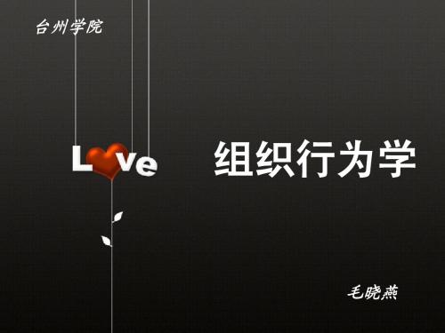 组织行为学 导论