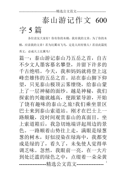 泰山游记作文600字5篇