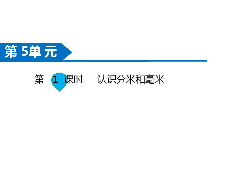 二年级数学下册课件-第1课时  认识分米和毫米-苏教版