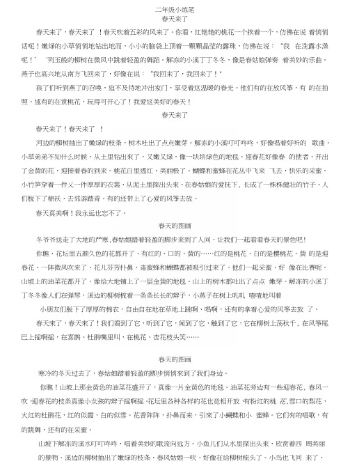 二年级下学期小练笔.docx