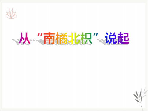 从南橘北枳说起课件ppt