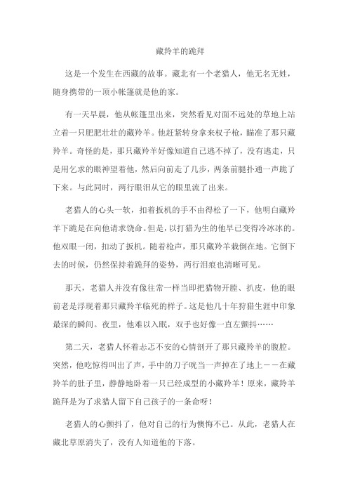 人教版三年级语文下册《藏羚羊的跪拜》