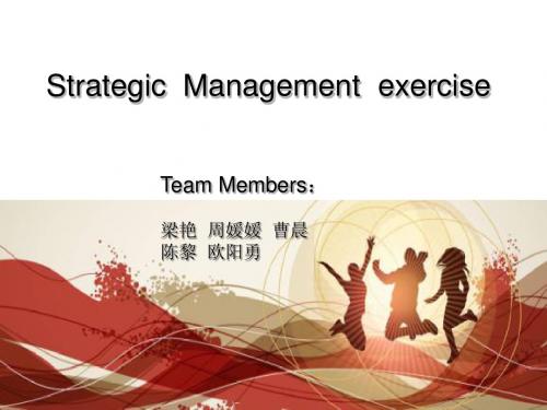 企业战略管理SM-