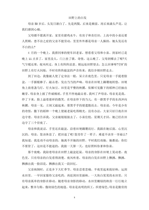田野上的白发阅读理解及答案