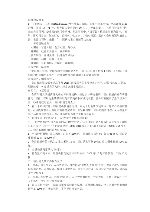 霍山石斛