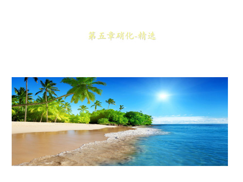 第五章硝化-精选
