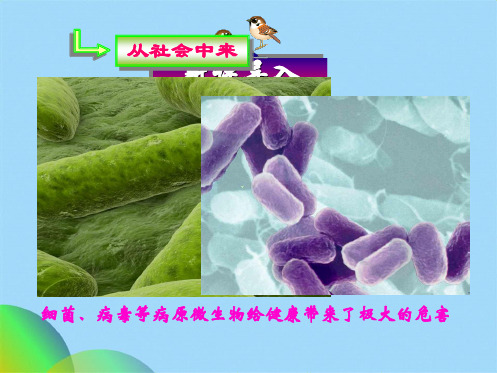 生物选修第节抗生素的合理使用人教版(共56张PPT)