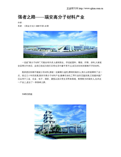 强者之路——瑞安高分子材料产业