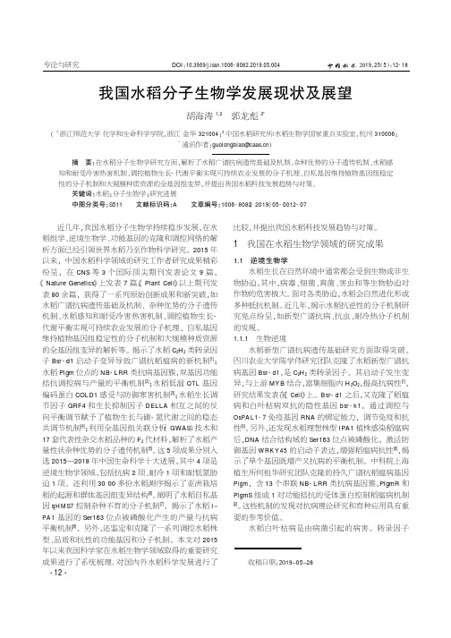 我国水稻分子生物学发展现状及展望