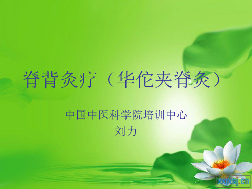 脊背灸疗