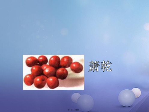 八年级语文上册第二单元5枣核课件苏教版(2)
