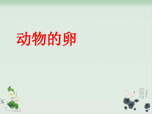 四年级下册科学课件动物的卵教科版(共40张PPT)