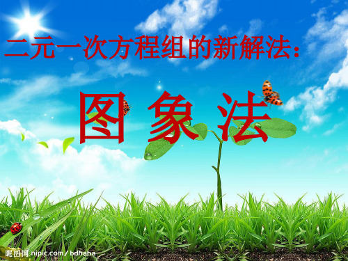 二元一次方程组的新解法：图 象 法 学科信息：数学-沪科版-八年级上