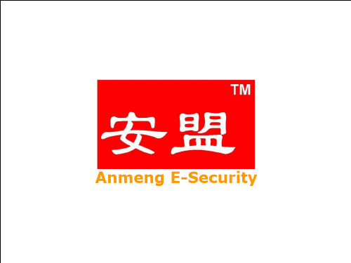 安盟双因素身份认证系统介绍