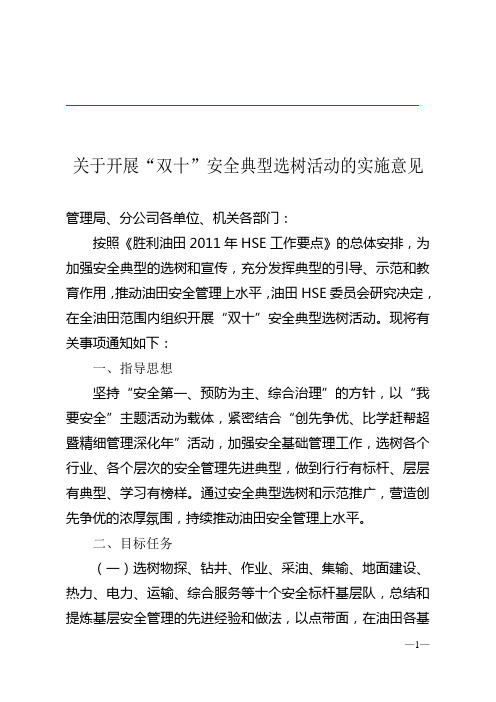 开展“双十”安全典型选树活动的实施意见