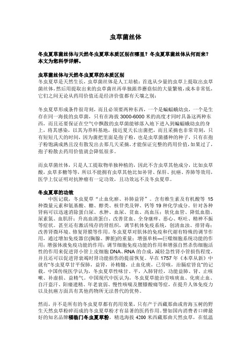 虫草菌丝体