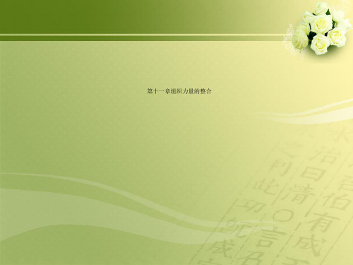 第十一章组织力量的整合