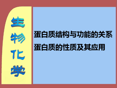 蛋白质结构与功能关系