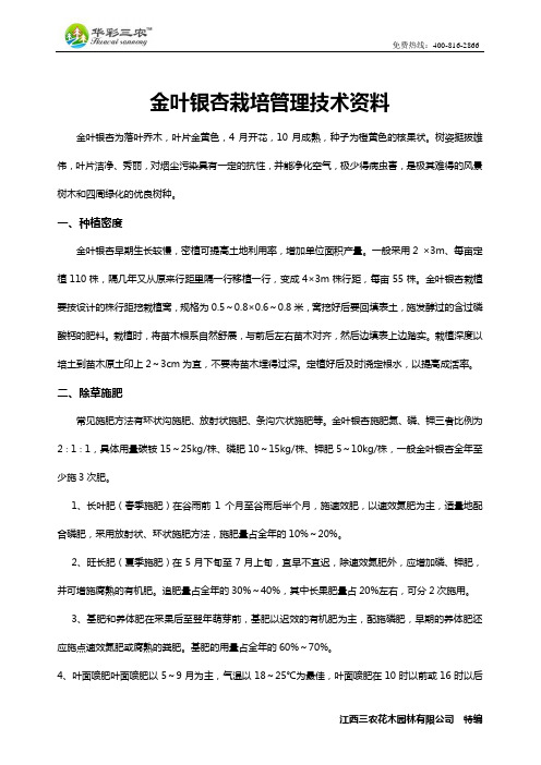 金叶银杏栽培管理技术资料
