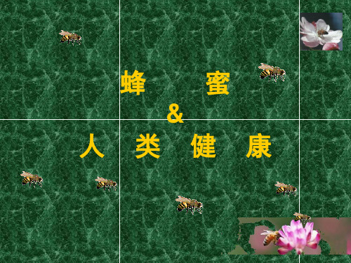 蜂蜜与人类健康.