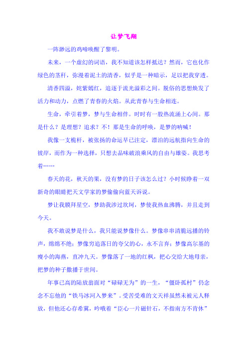 《让梦飞翔》